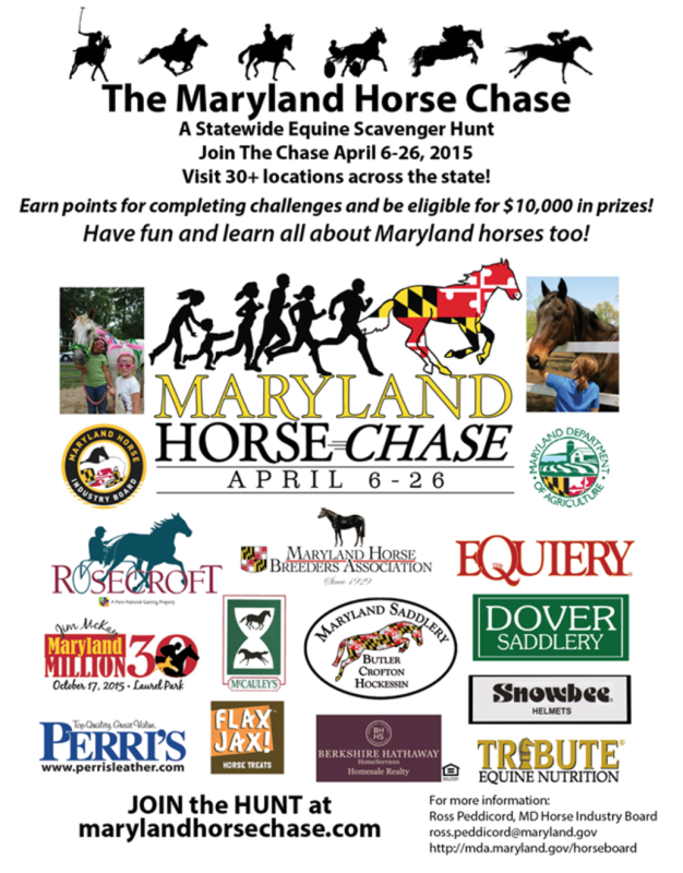 MD Horse Chase poster