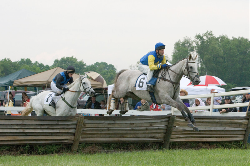 Brooks Durkee winning the Novice Timber at the Potomac Hunt Races on Battle Op in 2008